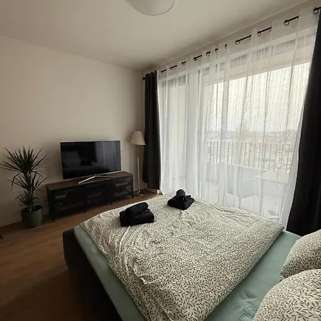 Cozy In Downtown Apartment